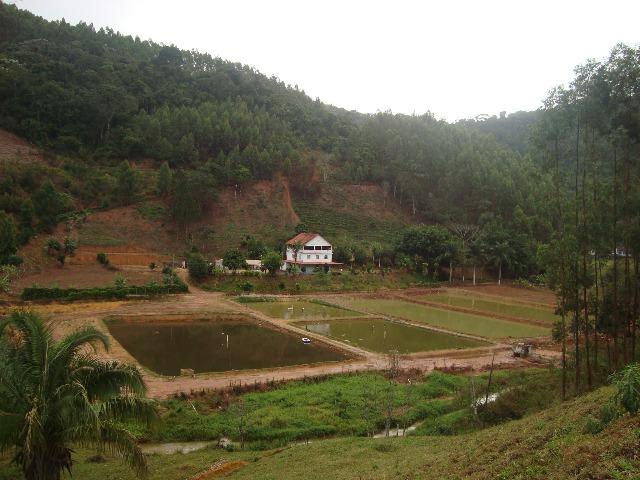 Sitio paraju 1alqueires - Foto 9