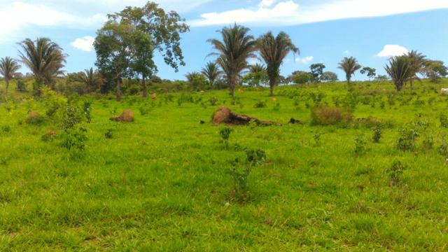 Chácara 5 Alqueires Rio Areia Córrego Nascente Corumbá de Goiás - Foto 12