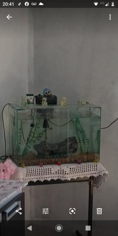 Aquário 72l