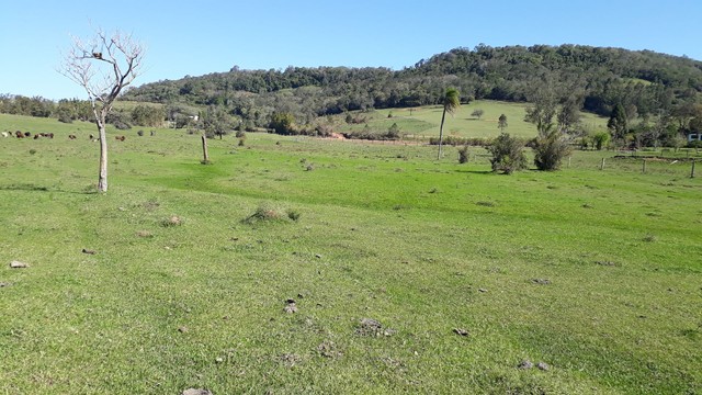 chácara em Taquara com 18,5 hectares com fácil acesso