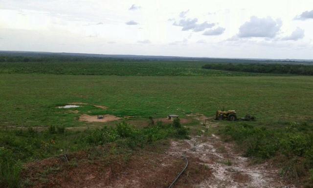 Fazenda em Pedro Afonso - 270 km Distante de Palmas - Foto 7