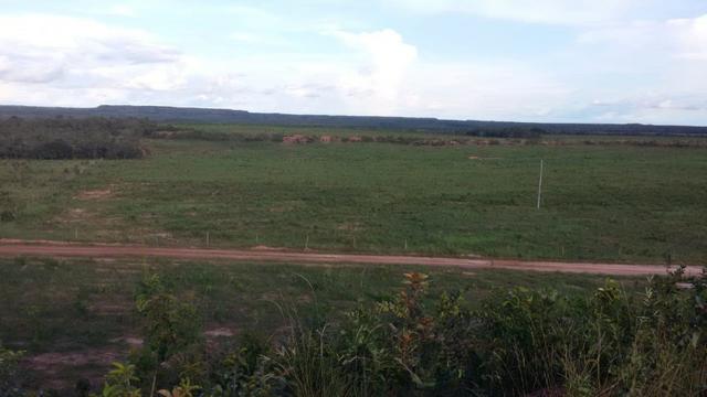 Fazenda em Pedro Afonso - 270 km Distante de Palmas - Foto 12