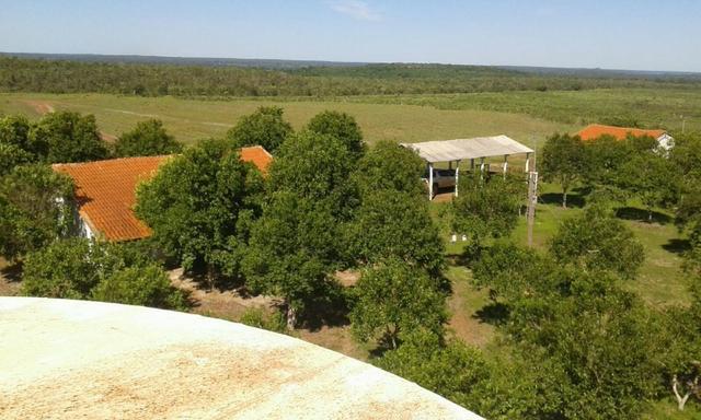 Fazenda em Pedro Afonso - 270 km Distante de Palmas - Foto 15