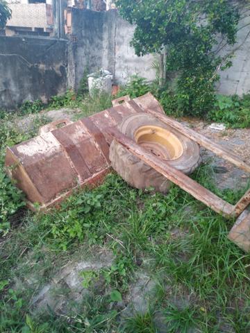 Bobcat - Foto 2