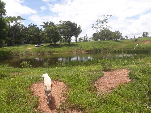 Vendo - Troco Chácara 12 Hectares - Foto 7