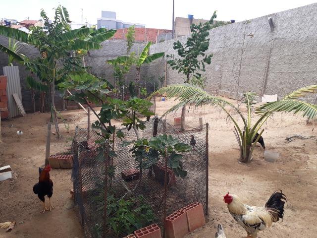 Casa no São Jorge - Foto 13
