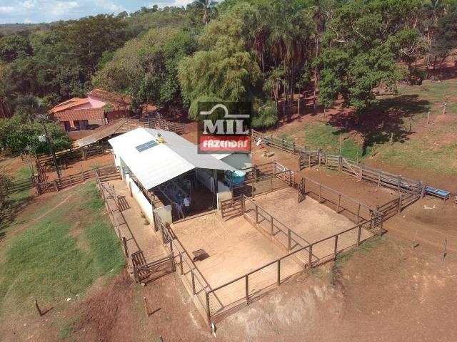 Fazenda 24 Alqueires ( 116.16 hectares )- Santa Cruz \ Cristianópolis-GO - Foto 12