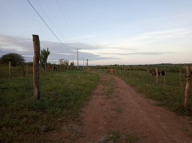 Fazenda Malhada Nova - Foto 5