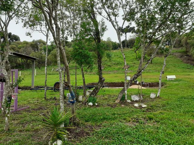 Chacrinha condomínio fechado - Foto 3