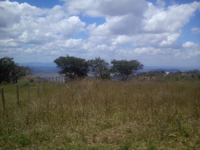 Terreno Serra Negra - Foto 3