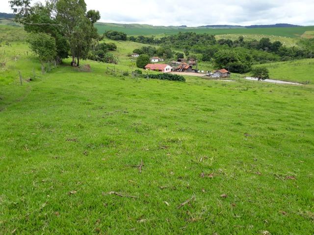 Sitio, 6 alqueires e meio, Siqueira Campos-PR - Foto 14