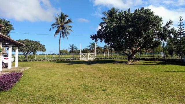Fazenda 80,52 Ha -Com Açude - ideal Para Pecuária - Foto 7