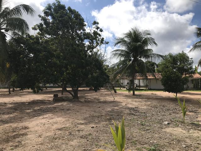 Vendo Área / Terreno na BR 101 Com 10.000m² Próx a Volvo, Baldessar Rondon e Rio Grandense - Foto 11