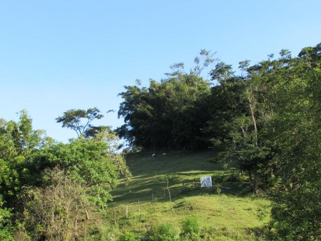 Sitio para eventos, retiros de igreja e festas em geral. (Sitio Paraíso dos Leões.) - Foto 10