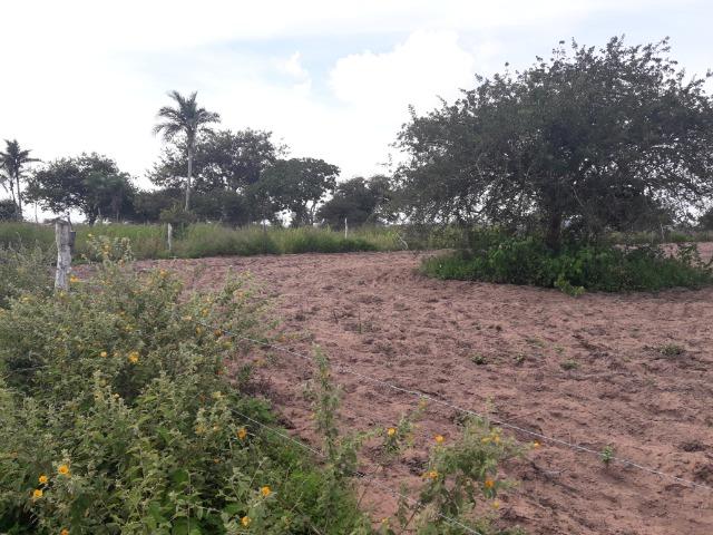 Terreno em Bom Conselho - Foto 4