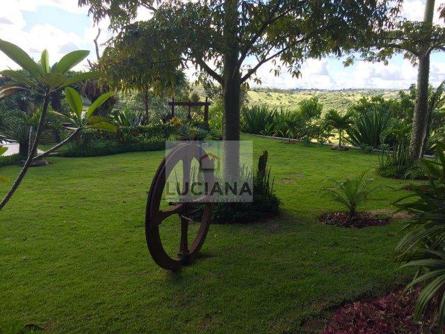 Fazenda com 13 hectares em Chã Grande (Cód.: fazch25) - Foto 10