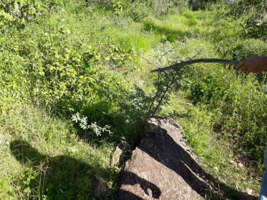 Fazenda para venda em santa cruz do capibaribe, centro - Foto 18