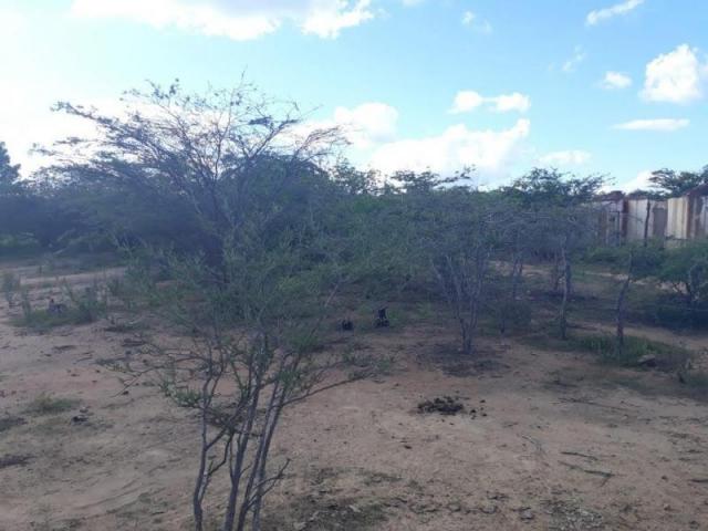 Fazenda para venda em santa cruz do capibaribe, centro - Foto 10