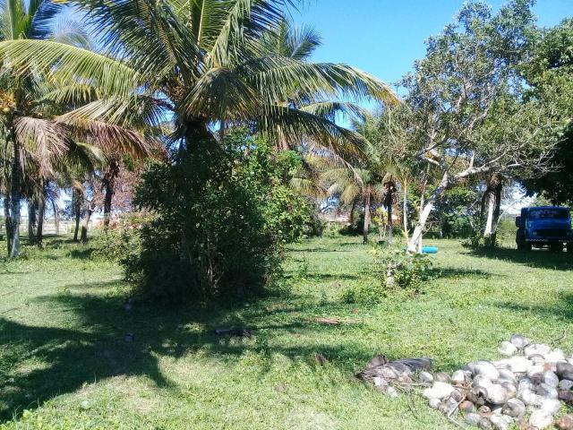L Loteamento Localizado a 500m da Rodovia Amaral Peixoto em Unamar - Tamoios - Cabo Frio! - Foto 2