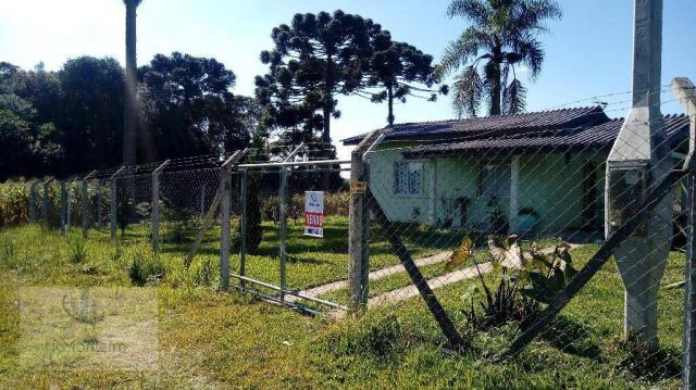 Chácara rural à venda, Campo Largo da Roseira, São José dos Pinhais. - Foto 6