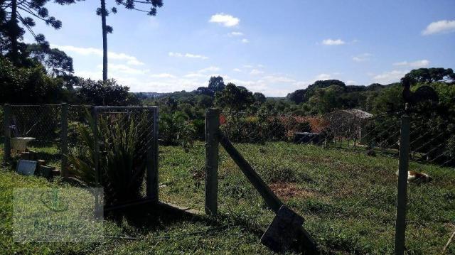 Chácara rural à venda, Campo Largo da Roseira, São José dos Pinhais. - Foto 12