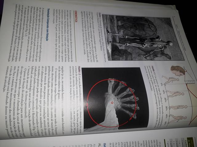 Cinesiologia do aparelho musculoesqueletico - Foto 2