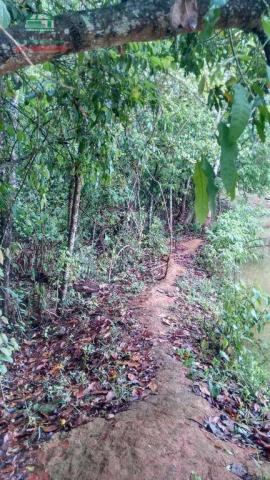 Chácara à venda, 15000 m² por R$ 300.000,00 - Zona Rural - Anápolis/GO - Foto 4
