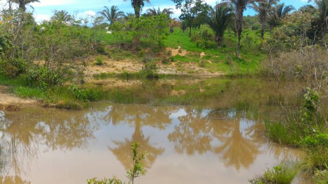 Chácara 5 Alqueires Rio Areia Córrego Nascente Corumbá de Goiás - Foto 15
