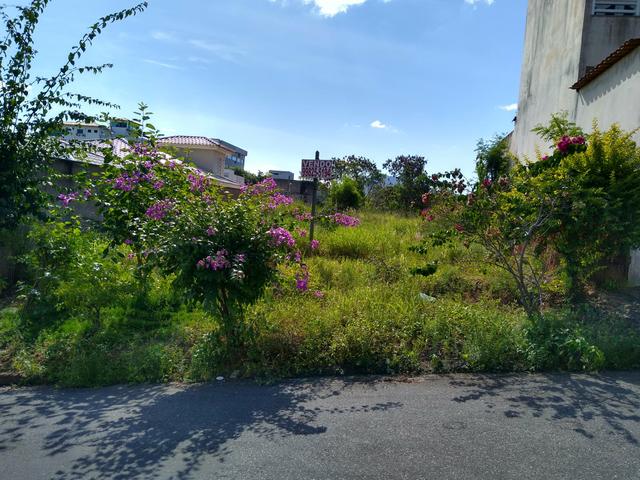 Lotes em Itapebussu - Foto 2