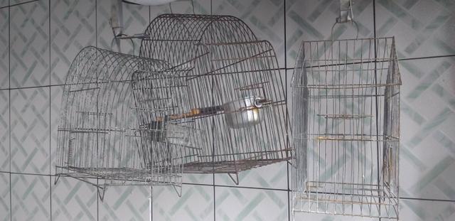 Gaiolas usadas - Foto 2