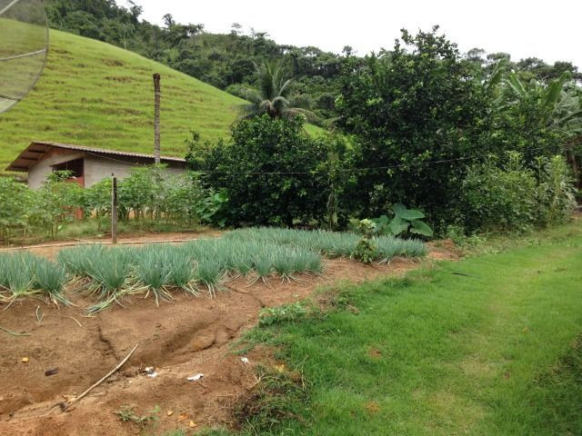 Propriedade de 5.000 m² em Cabeça Quebrada, Guarapari - Foto 16
