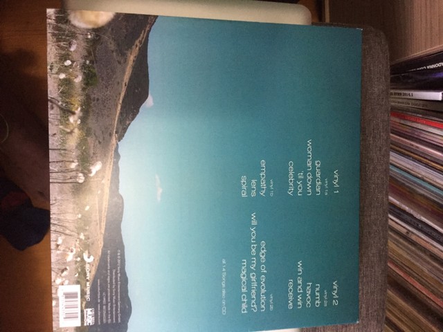 Alanis Morissette Havoc and Bright lights vinil - Foto 5