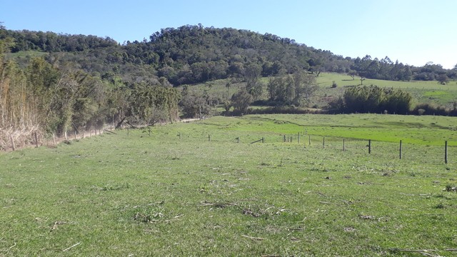chácara em Taquara com 18,5 hectares com fácil acesso - Foto 3