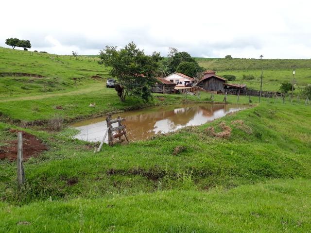 Sitio, 6 alqueires e meio, Siqueira Campos-PR - Foto 17