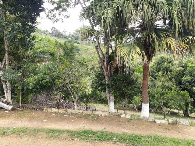 Fazenda - Foto 6