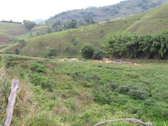 Sítio com 4 alqueires em Sumidouro - Rancho da Alegria - Foto 8