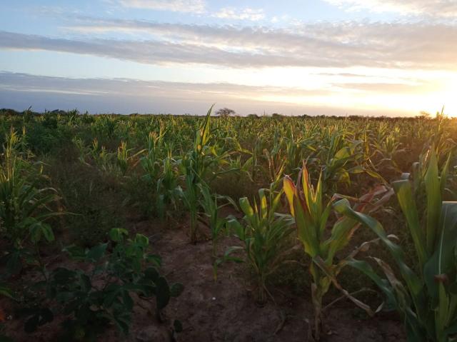 Fazenda Malhada Nova - Foto 6