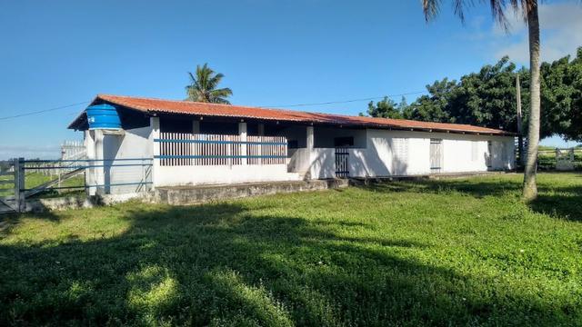 Fazenda 80,52 Ha -Com Açude - ideal Para Pecuária - Foto 12