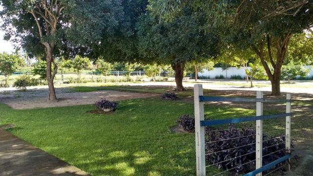 Fazenda 80,52 Ha -Com Açude - ideal Para Pecuária - Foto 14