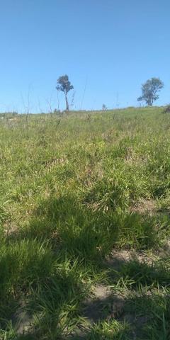 Grande black Friday terreno 10.000m2 de 120.mil a vista por 90 mil a vista - Foto 3