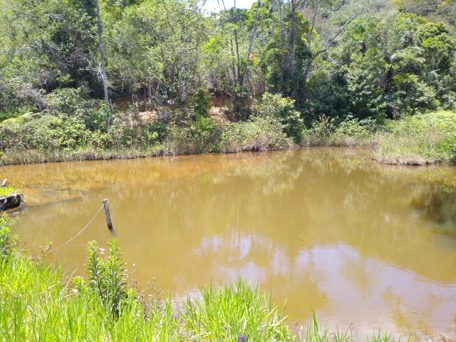 Sítio Viana 26 herquitares - Foto 4