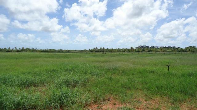 Vendo Fazenda com 250 ha, no Município de Touros - Foto 2