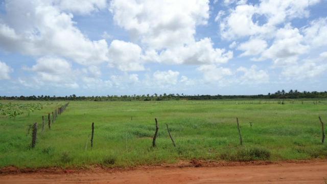 Vendo Fazenda com 250 ha, no Município de Touros
