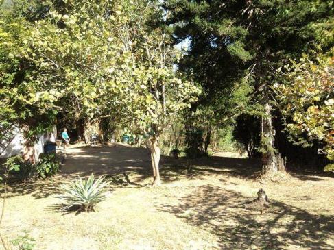 Terreno rural à venda, Venda Nova, Teresópolis - TE0060. - Foto 13