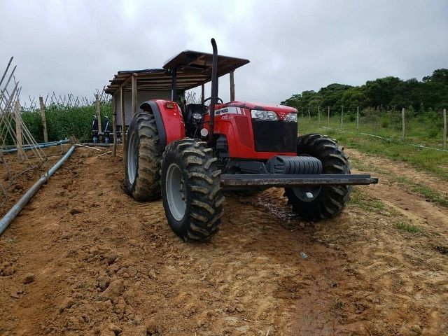 Trator Massey Ferguson 4290 turbo - Foto 5