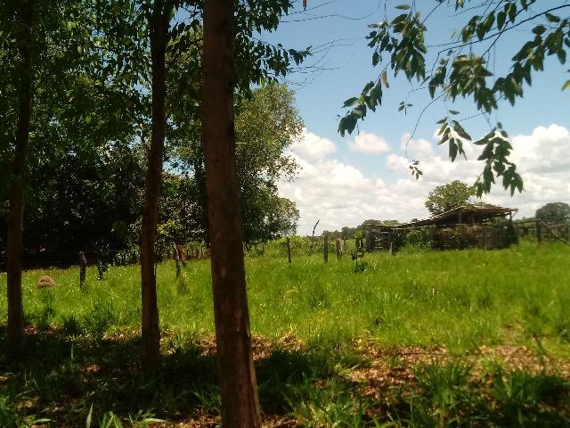 Chacara - Foto 3