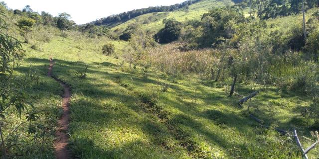 Fazenda - Foto 20