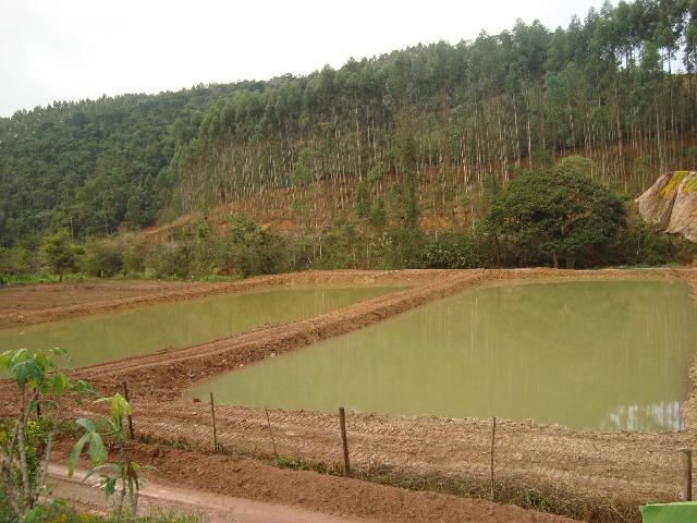 Sitio paraju 1alqueires - Foto 13
