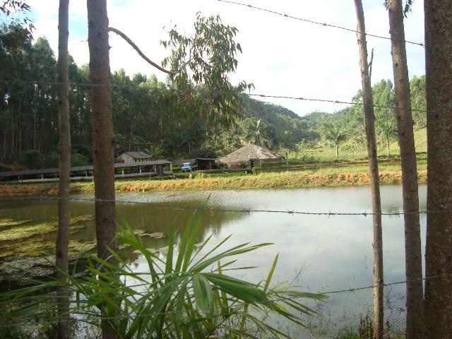 Sitio paraju 1alqueires - Foto 15