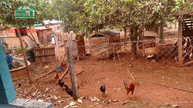 Chácara à venda, 15000 m² por R$ 300.000,00 - Zona Rural - Anápolis/GO - Foto 18